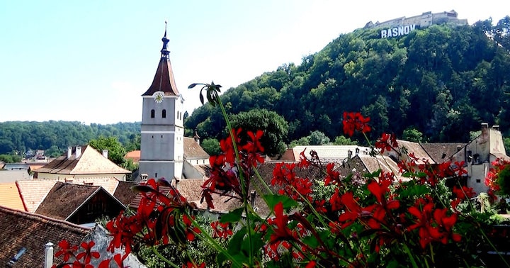 rasnov imagine